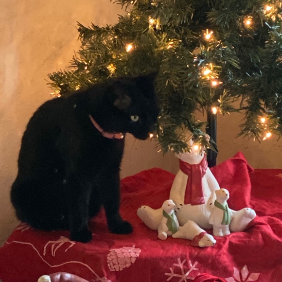 Meet your Posher, Shawnee - Picture 1 of 1